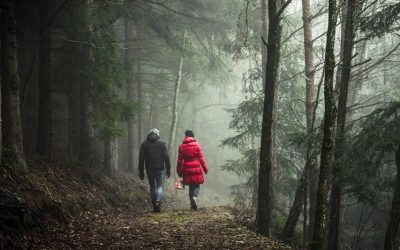 Divorce with Respect: The Habits of Respect